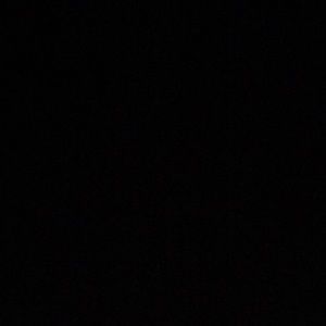 Meet your Posher, Bella